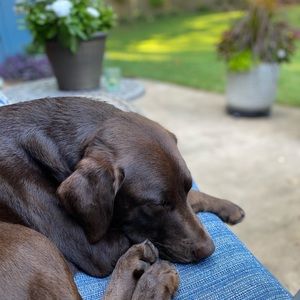 Meet your Posher, Carissa